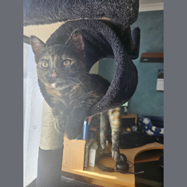 Photo of Jane (Now Maggie)