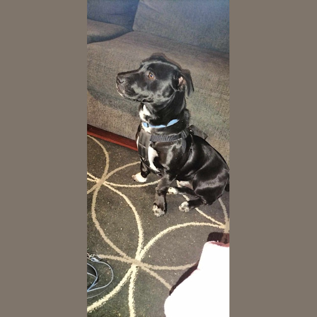 Photo of Oscar. (Mario)