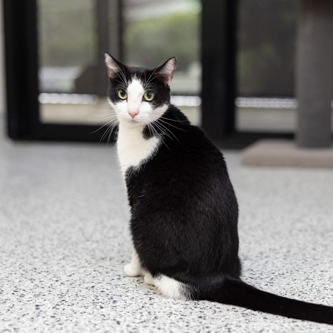 Photo of Party Pants