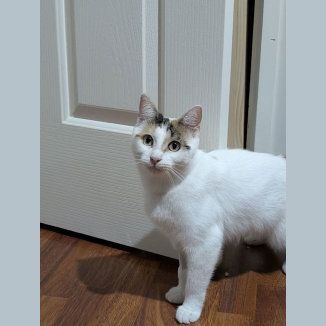 Photo of Freya 