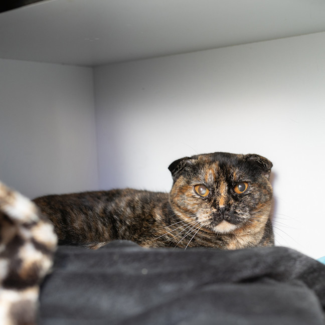 Photo of Squishy