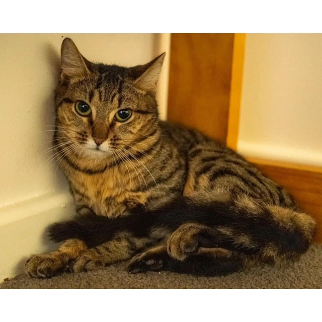 Photo of 10757   Cura