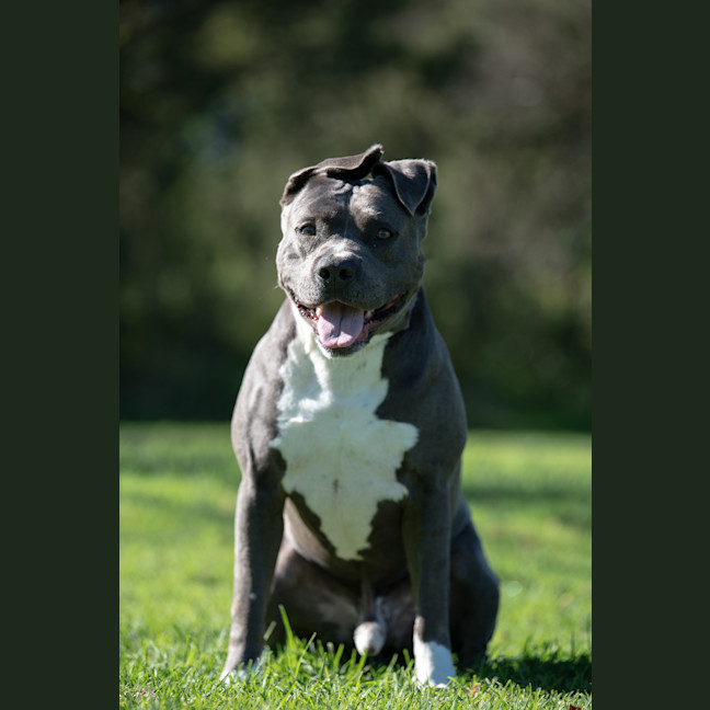 Photo of Ghost