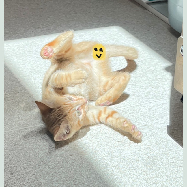 Photo of Tobasco (8920)