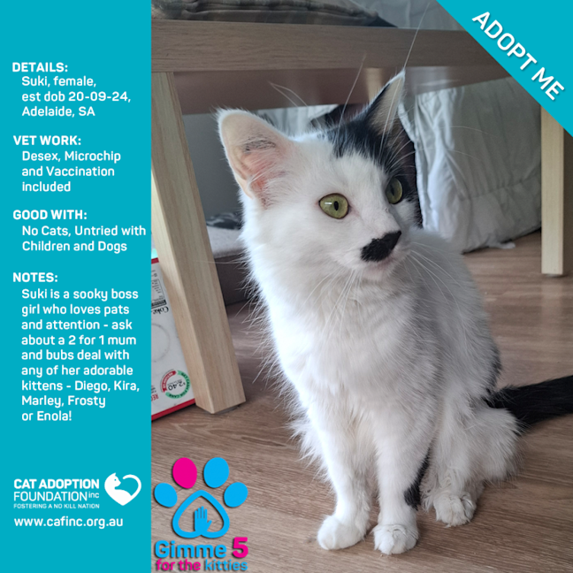 Photo of Suki And Frosty