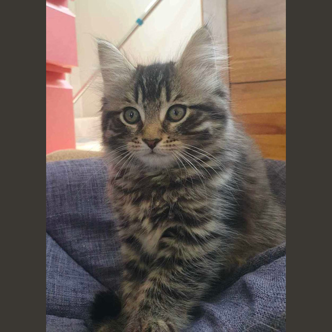 Photo of Memphis And Lucille