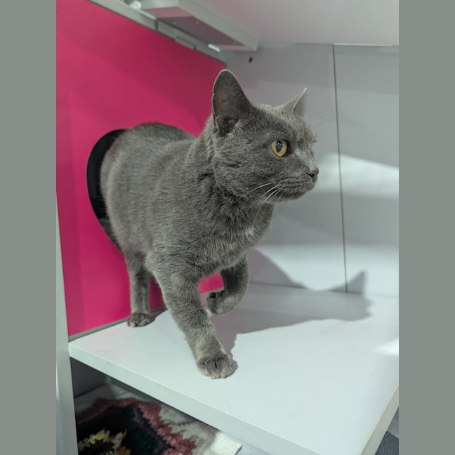 Photo of Mia