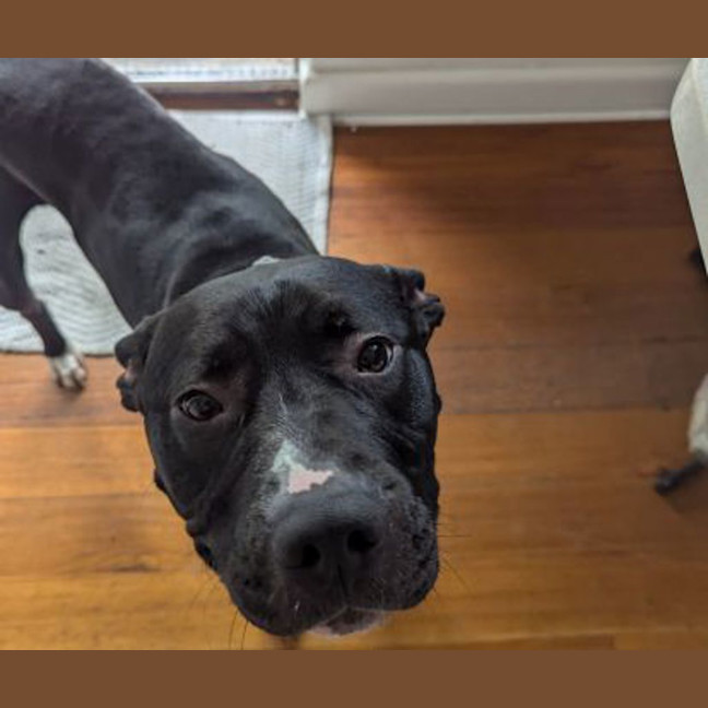 Photo of Zeus