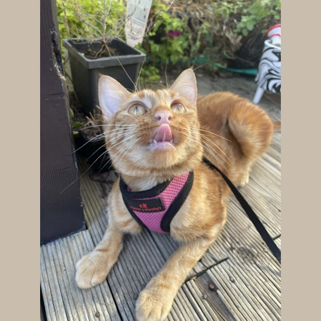 Photo of Dutchess