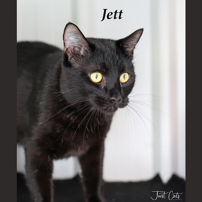 Photo of Jett