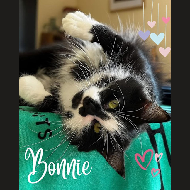 Photo of Bonnie