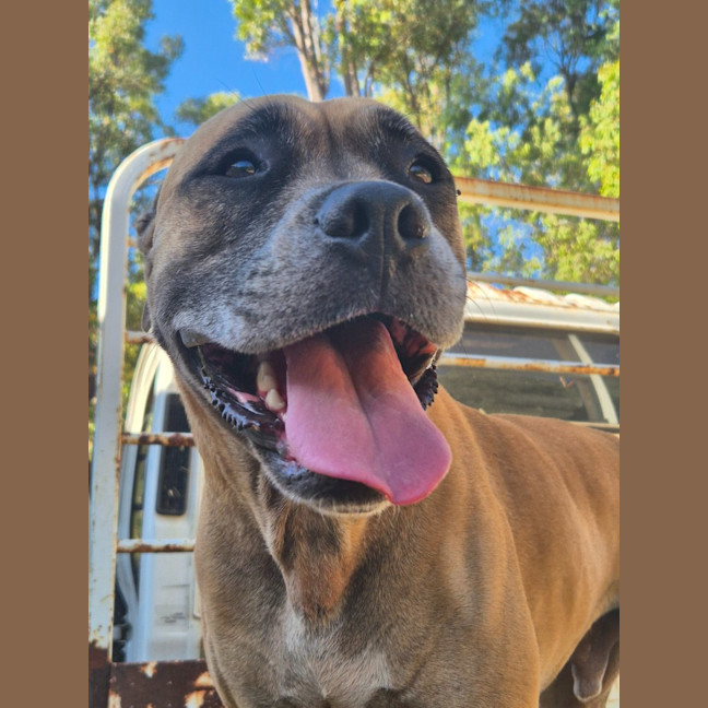 Photo of Maximus