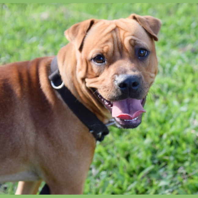 Photo of Lucy