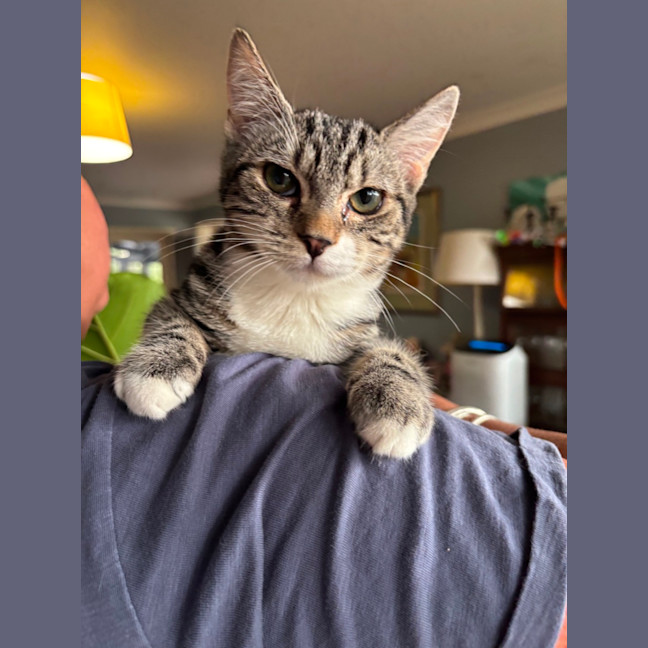 Photo of 🌙 Apollo 🌙