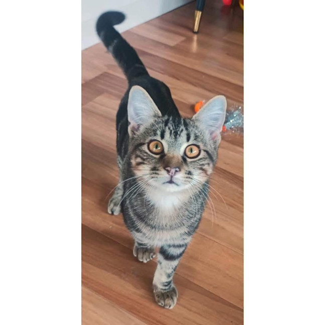 Photo of 11820   Mojito