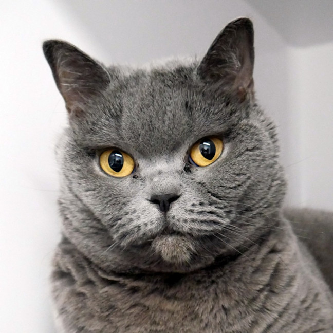 Photo of Poppy Sua012958