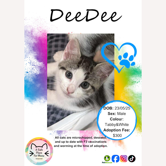 Photo of Dee Dee (D.D)
