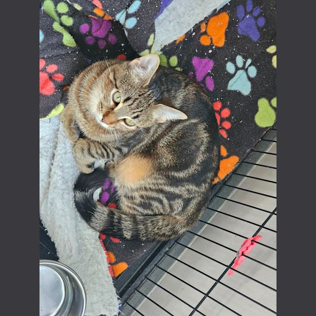 Photo of Thelma & Louise