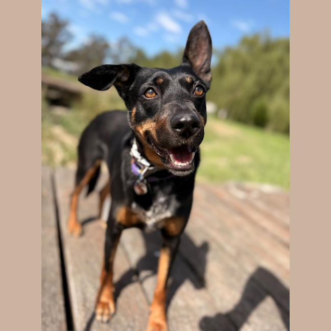 Photo of Katie