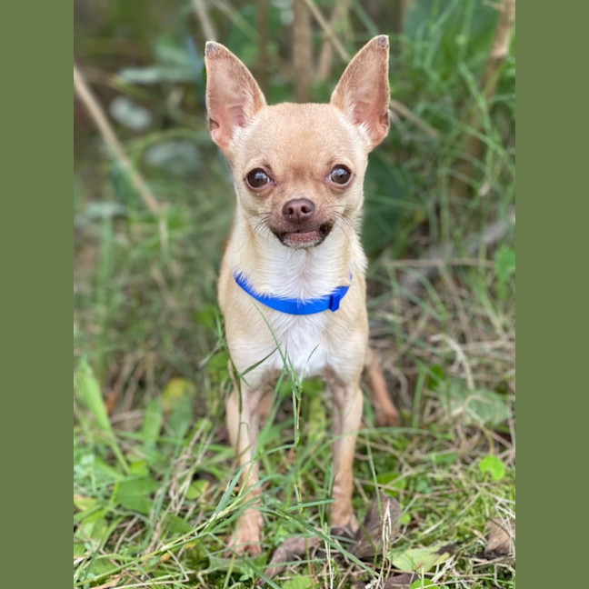 Photo of Paco