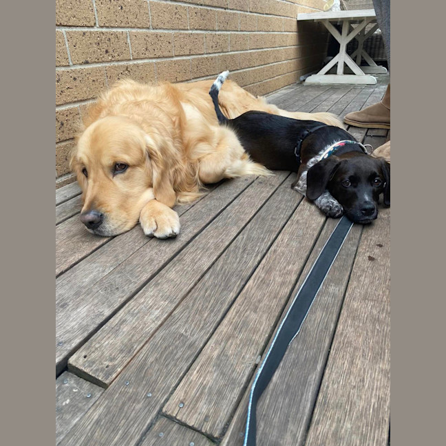 Photo of Echo