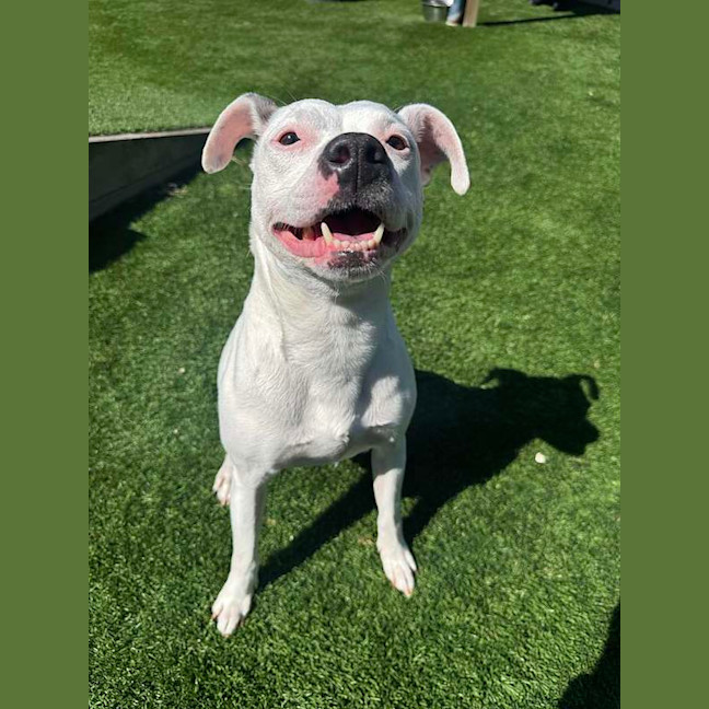 Photo of Tinkerbell