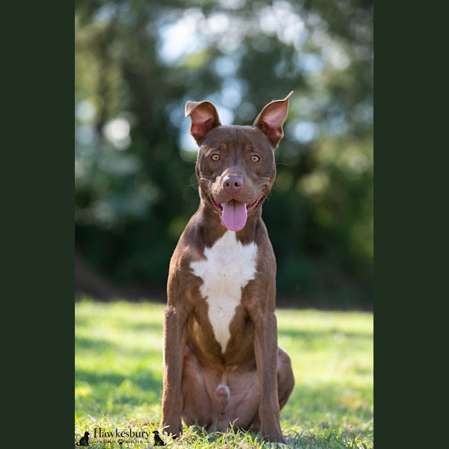 Photo of Jasper