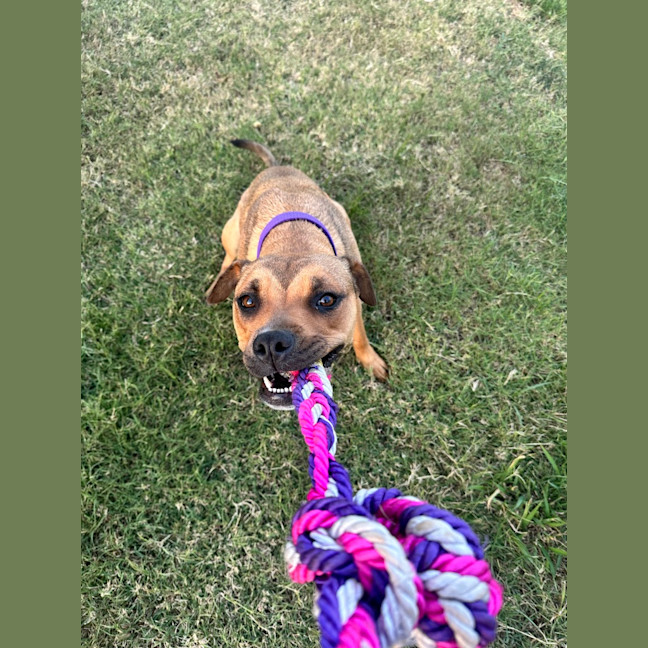 Photo of Mia