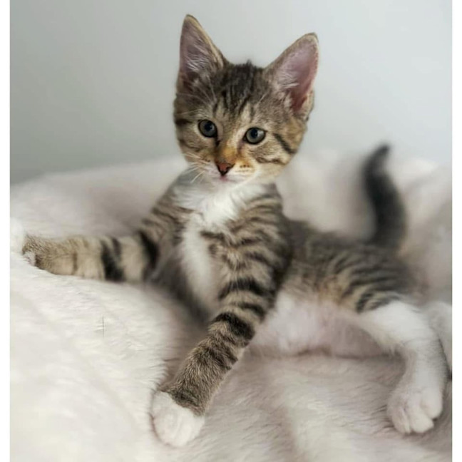 Photo of 11495   Sprout