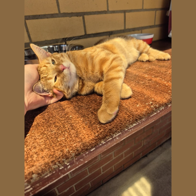 Photo of Monkey! 🦧 