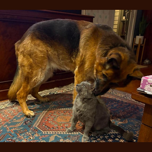 Photo of Max 