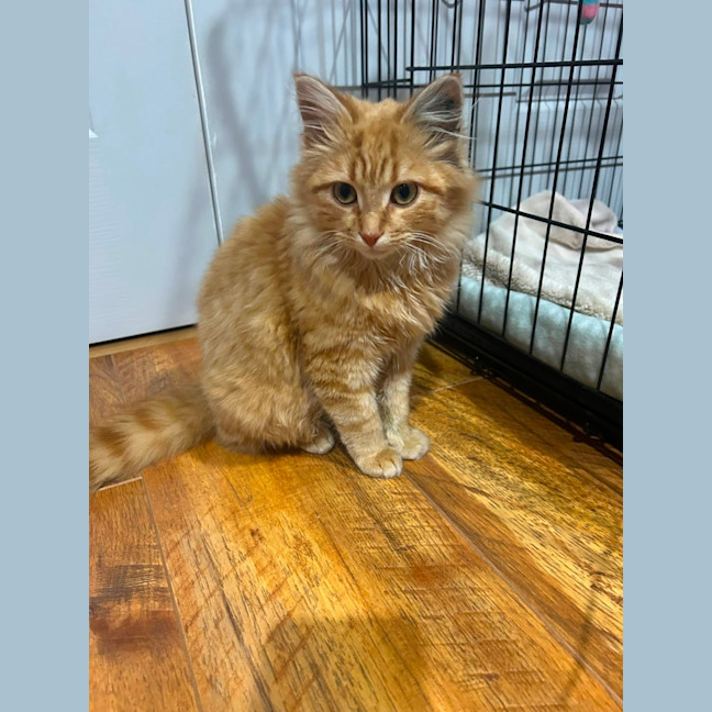 Photo of Binky