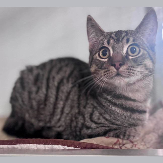 Photo of Little Man
