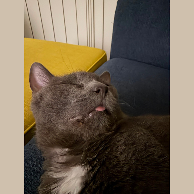 Photo of Ralph