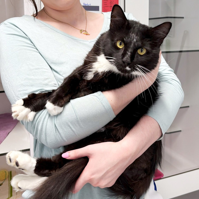 Photo of Jerry Sta013335