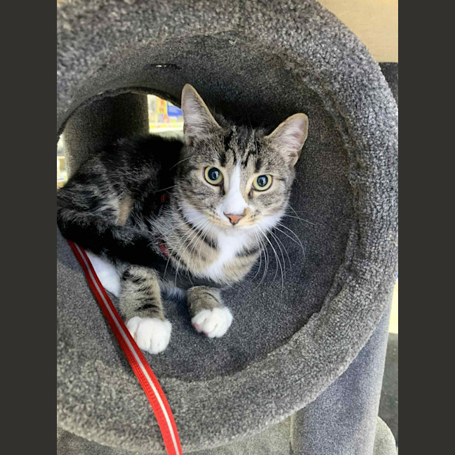 Photo of Bootsie Malone