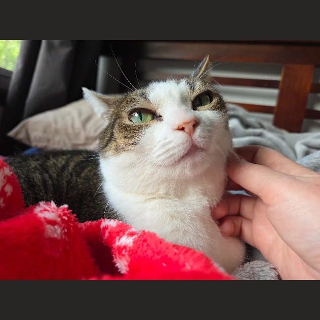 Photo of Molly / Milly