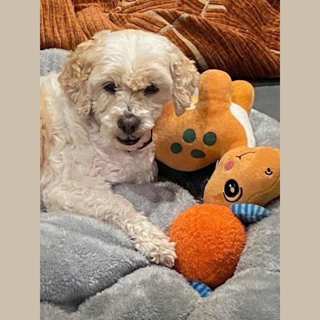 Photo of Bella Wensleydale