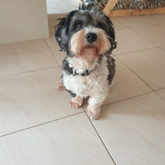 Photo of Mack Jablonski