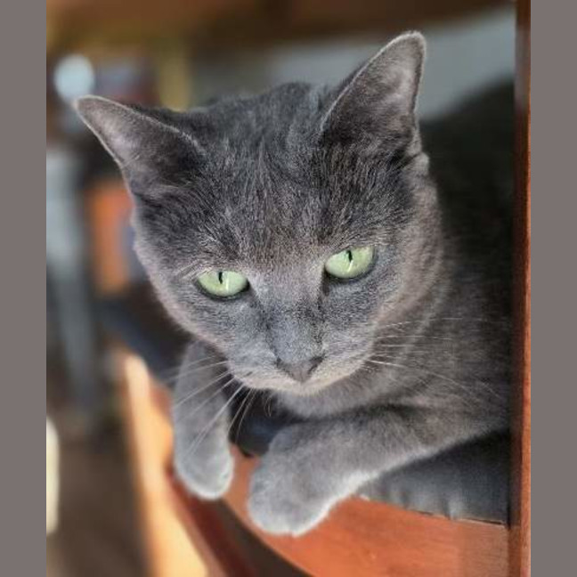 Photo of Pearl