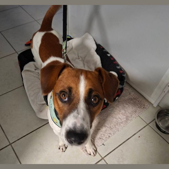 Photo of Leroy