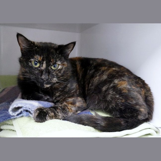 Photo of Valentina Rsta014176