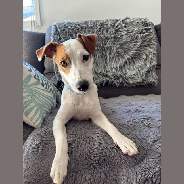 Photo of Winston