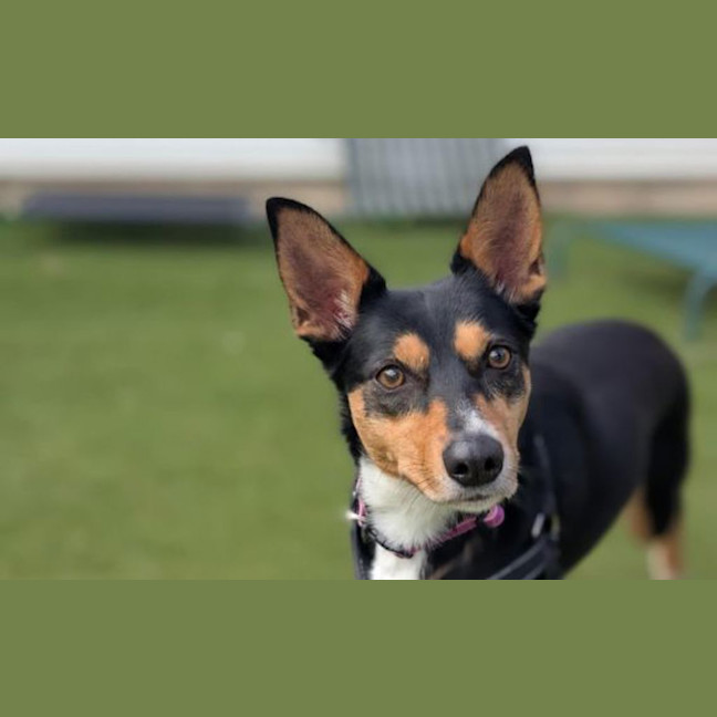 Photo of Lizzie