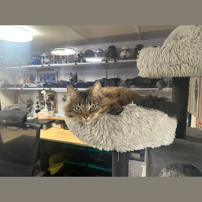 Photo of Meg