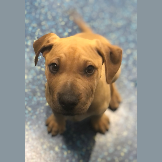 Photo of Holly