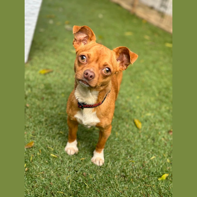 Photo of Titch 