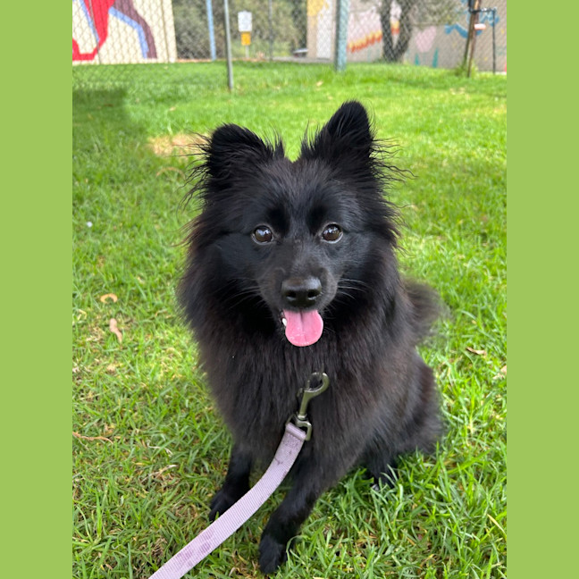 Photo of Wilma (Coco)
