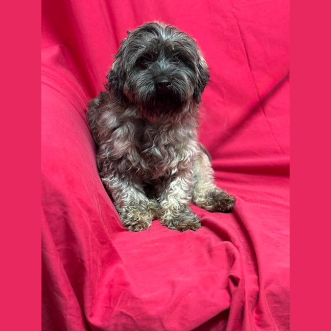 Photo of Rivera (Aka Jimmy)