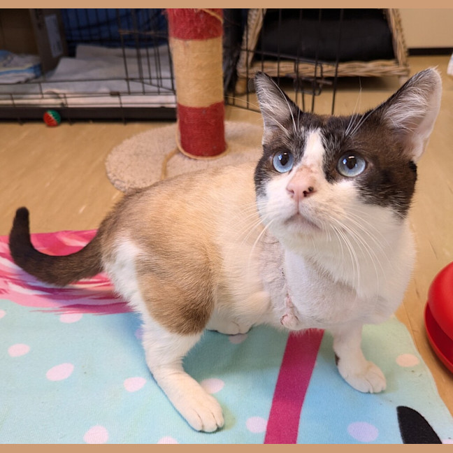 Photo of Fergus
